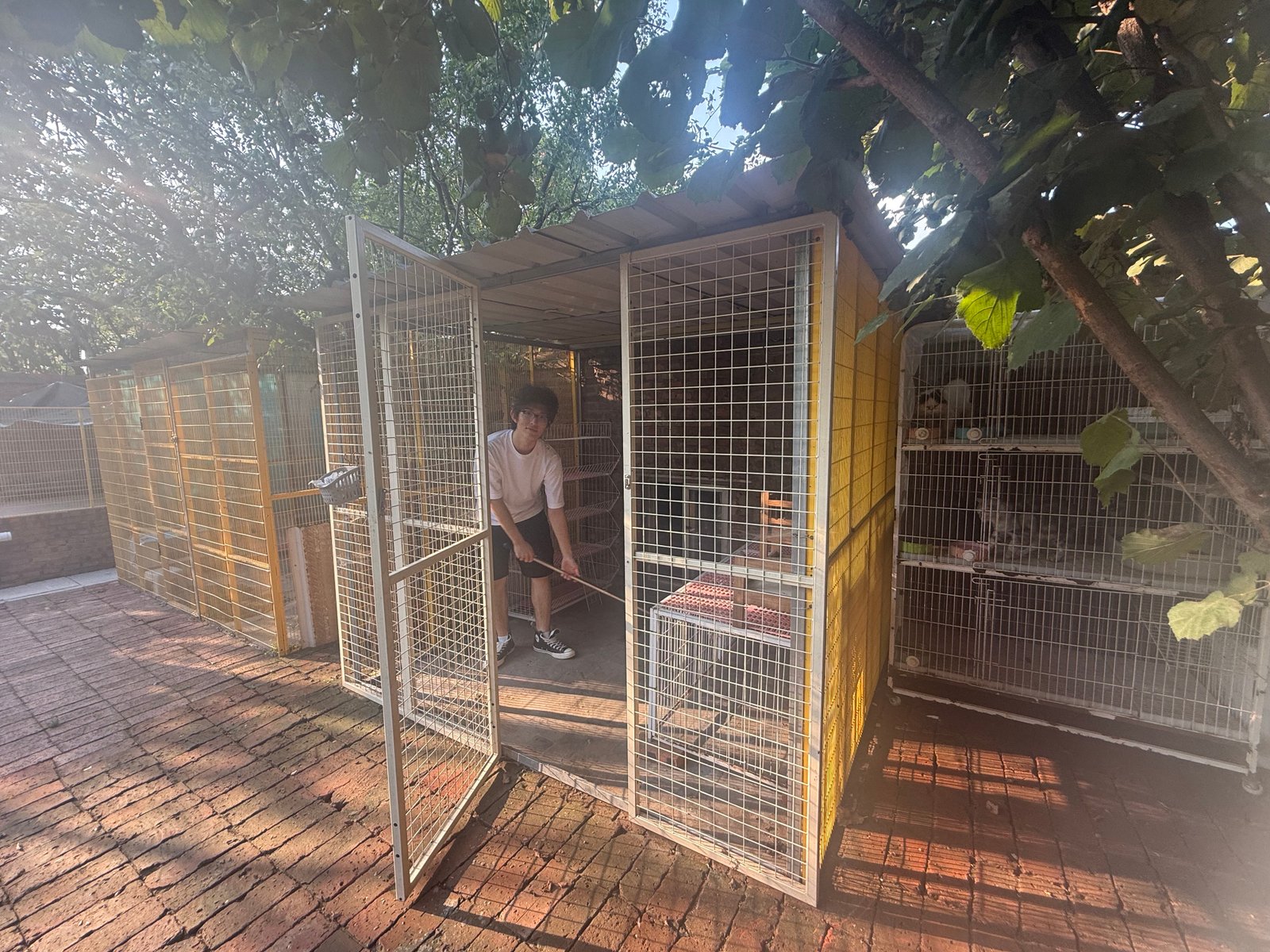 Cleaning the Cat Shelter